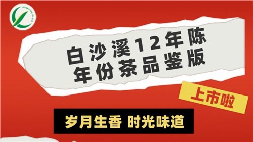 歲月生香 時光味道丨集團(tuán)白沙溪12年陳年份茶品鑒版上市